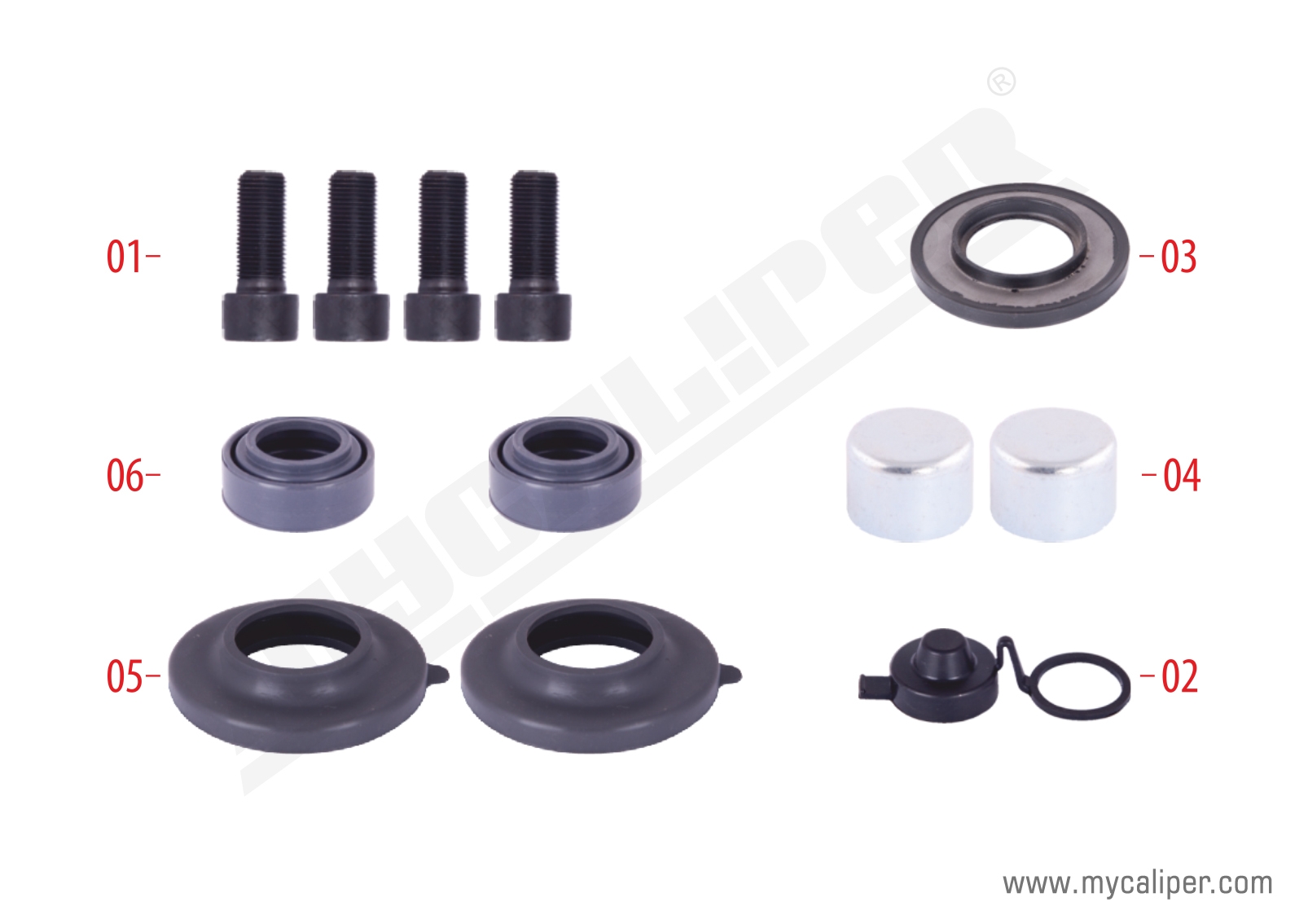 Caliper Seals & Bolts Repair Kit