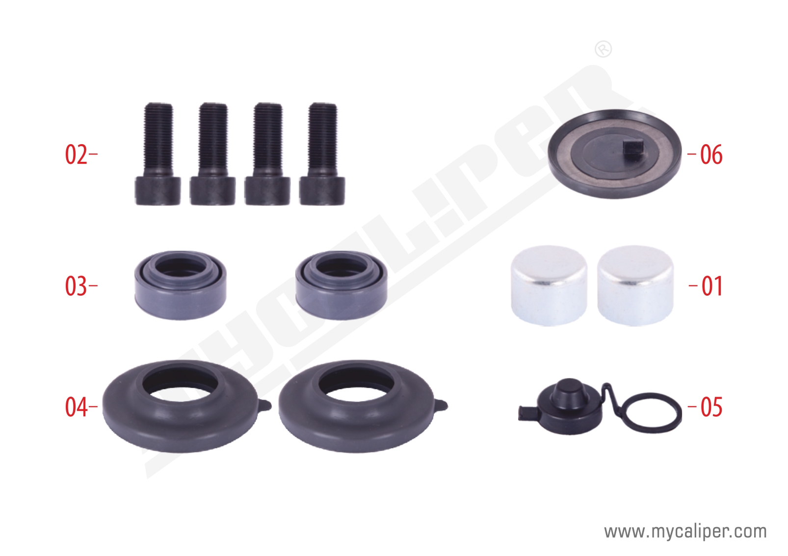 Caliper Seals & Bolts Repair Kit 