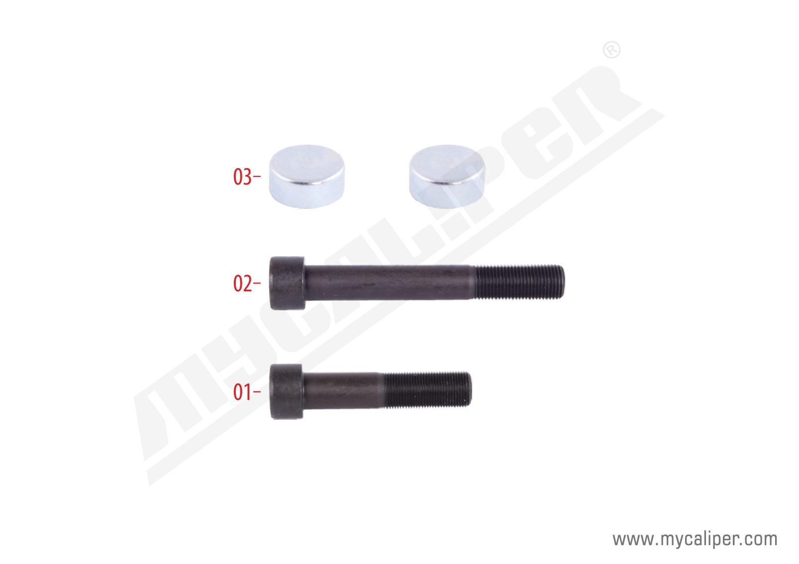 Caliper Bolt & Cap Kit 