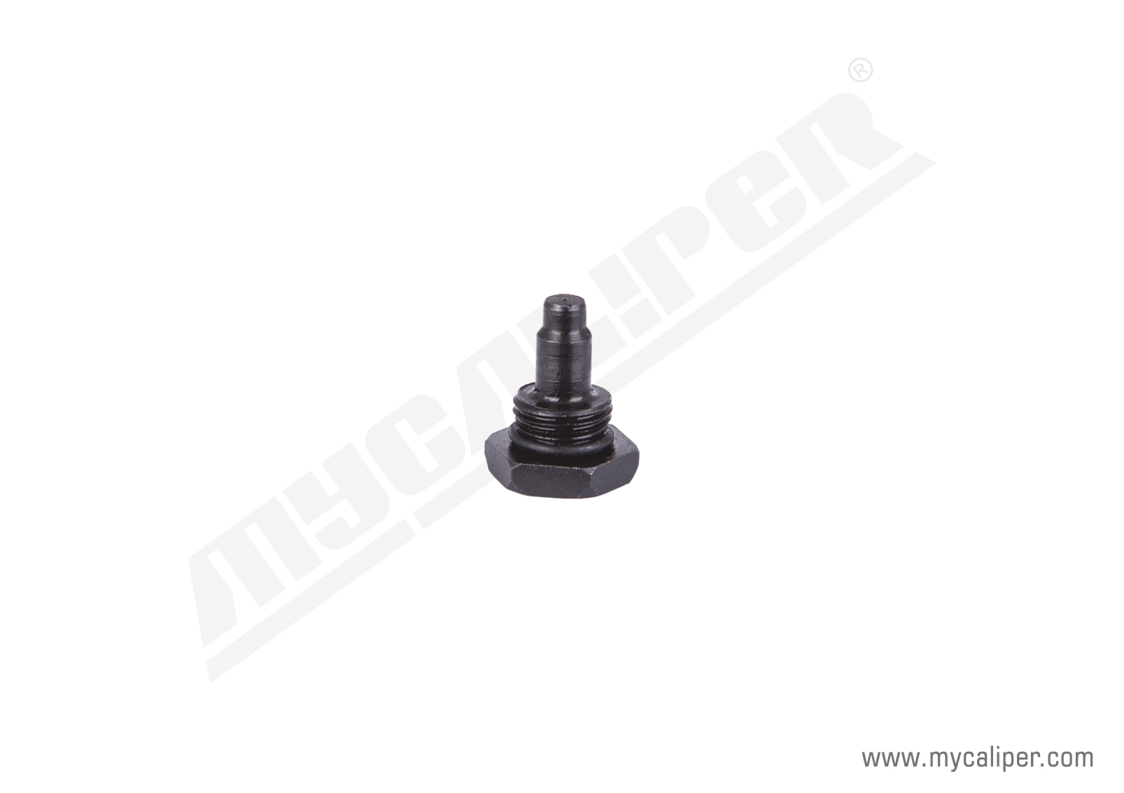 Screw 22 mm 