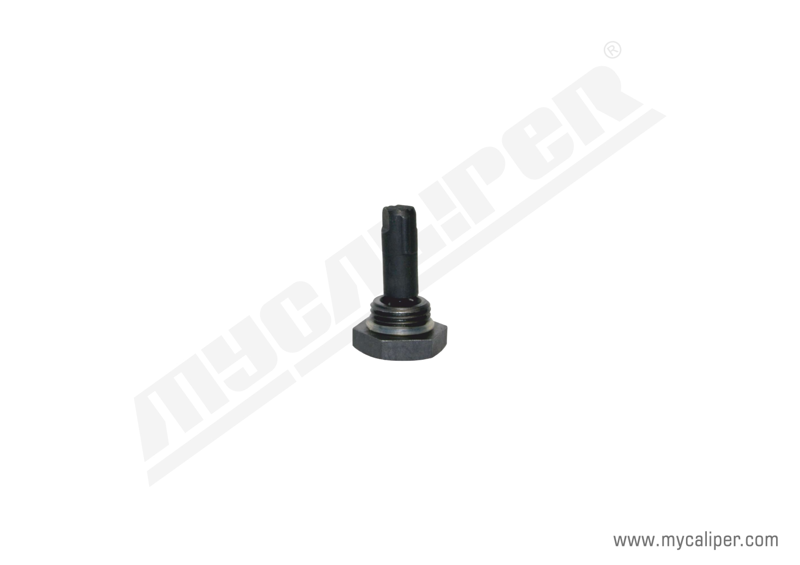 Screw 22 mm (New Model) 